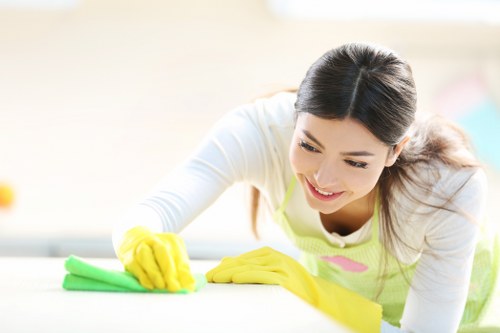 Professional carpet cleaning in Crooklog removing dirt from a home carpet