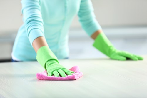 Complaint details being reviewed for a carpet cleaning service issue