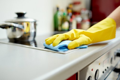 Upholstery cleaning service in Crooklog for a cleaner home