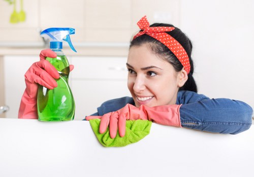 Cleaning pet urine stains from upholstery in Crooklog