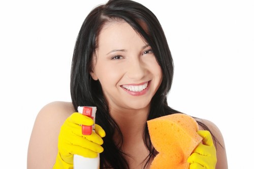 Carpet cleaning technician discussing public liability insurance and safety procedures